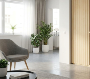 What a Small Sauna Really Costs, From Unit to Install